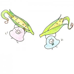 pakupaku_02_top